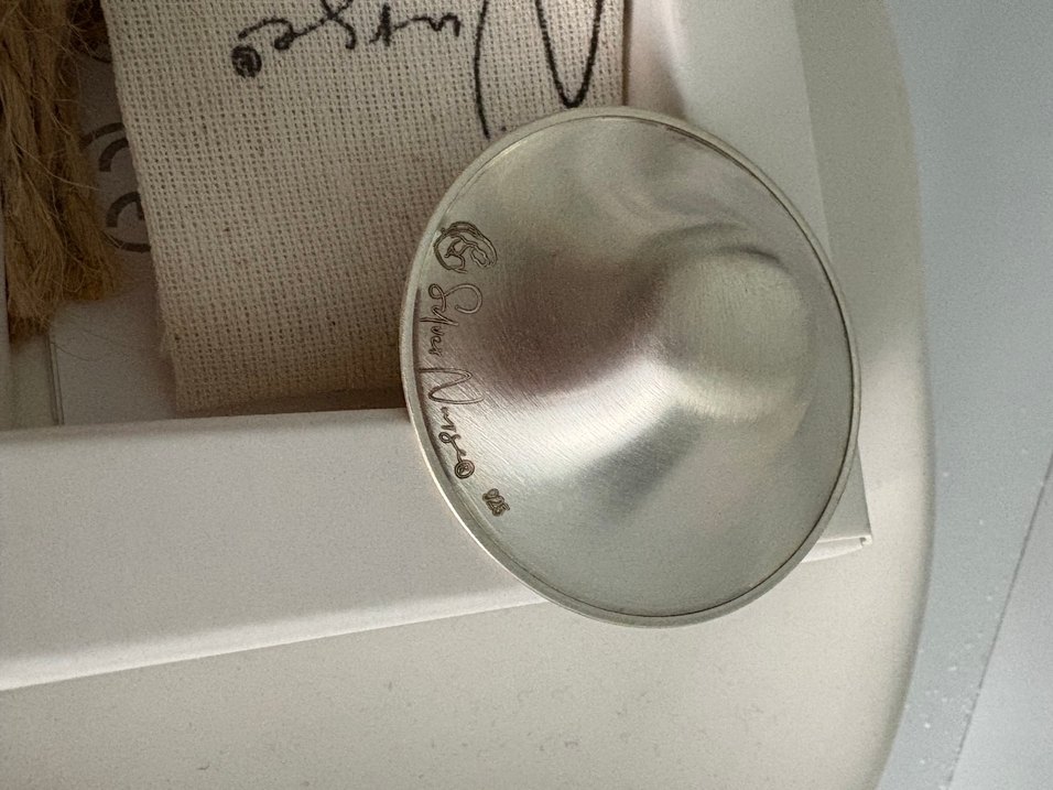 Koruyucu Gümüş Göğüs Kapakları - Görsel 4