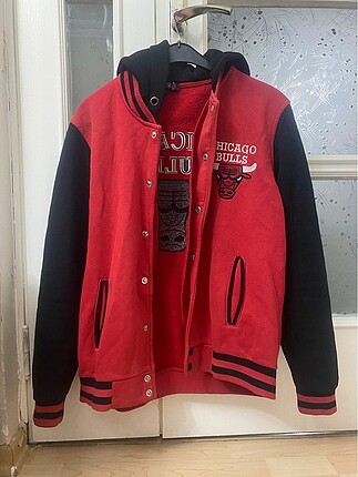 Chicago bulls mont