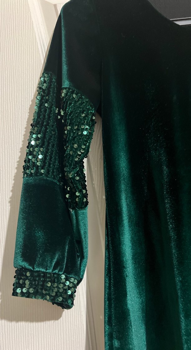 Uzun Kollu, Payetli Yeşil Kadın Abiye Elbise - Görsel 4
