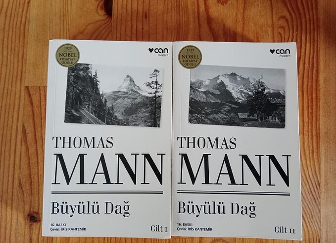 Thomas Mann Büyülü Dağ 