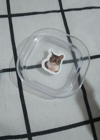 Bej Renkli Kedili Aksesuarı Kutusu - Görsel 3