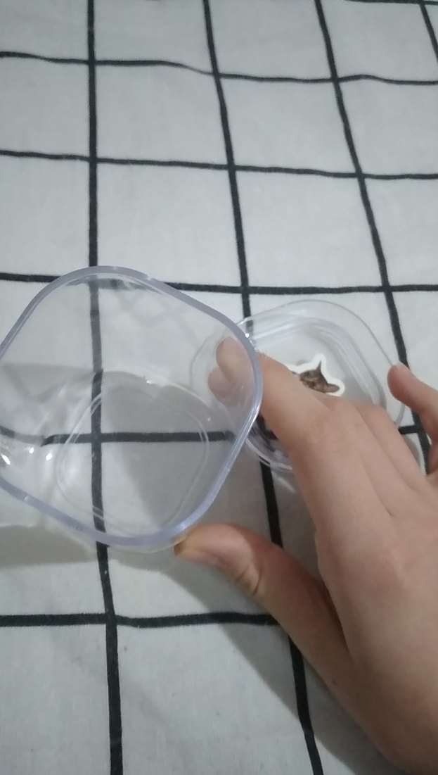 Bej Renkli Kedili Aksesuarı Kutusu - Görsel 2