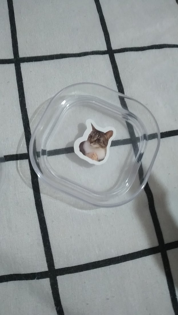 Bej Renkli Kedili Aksesuarı Kutusu - Görsel 3