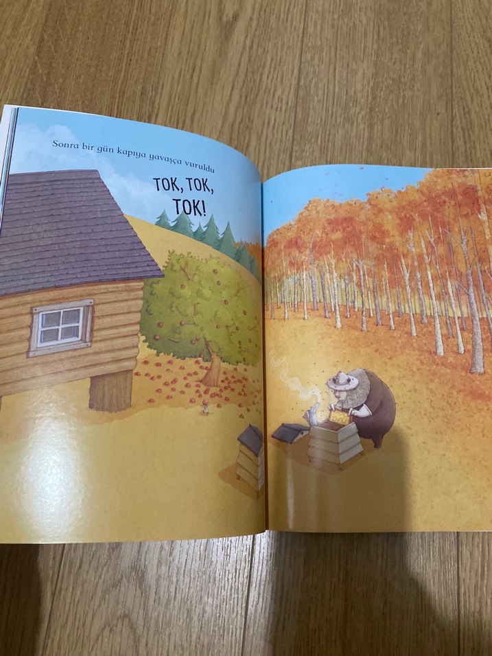 Şu Yaramaz Tavşanlar - Çocuk Kitabı - Görsel 3