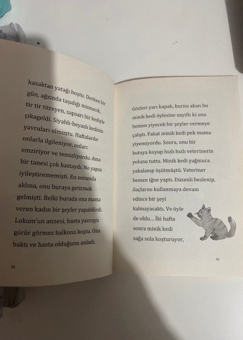 Lokum ile Pasaklı Kedi - Berrak Beşikçi - Görsel 4