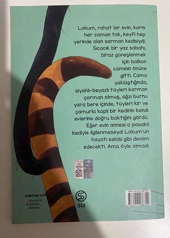 Lokum ile Pasaklı Kedi - Berrak Beşikçi - Görsel 2