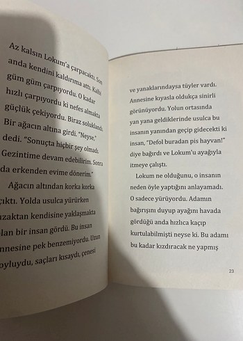 Lokum ile Pasaklı Kedi - Berrak Beşikçi - Görsel 3