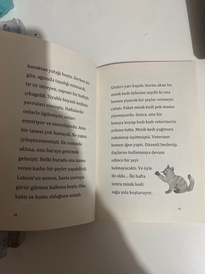 Lokum ile Pasaklı Kedi - Berrak Beşikçi - Görsel 4