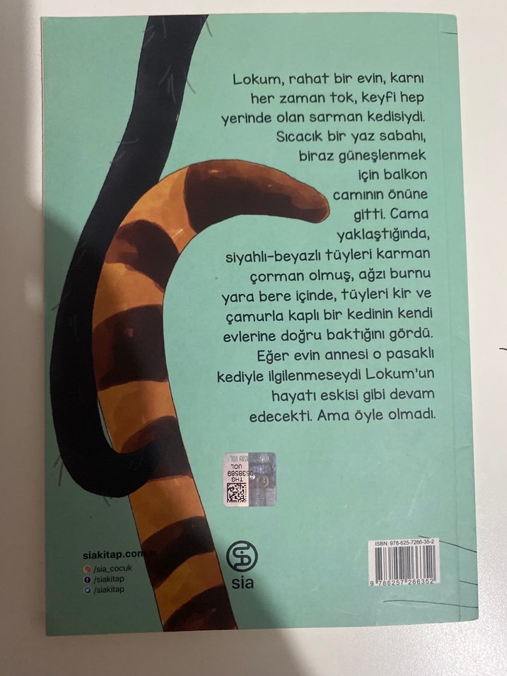 Lokum ile Pasaklı Kedi - Berrak Beşikçi - Görsel 2