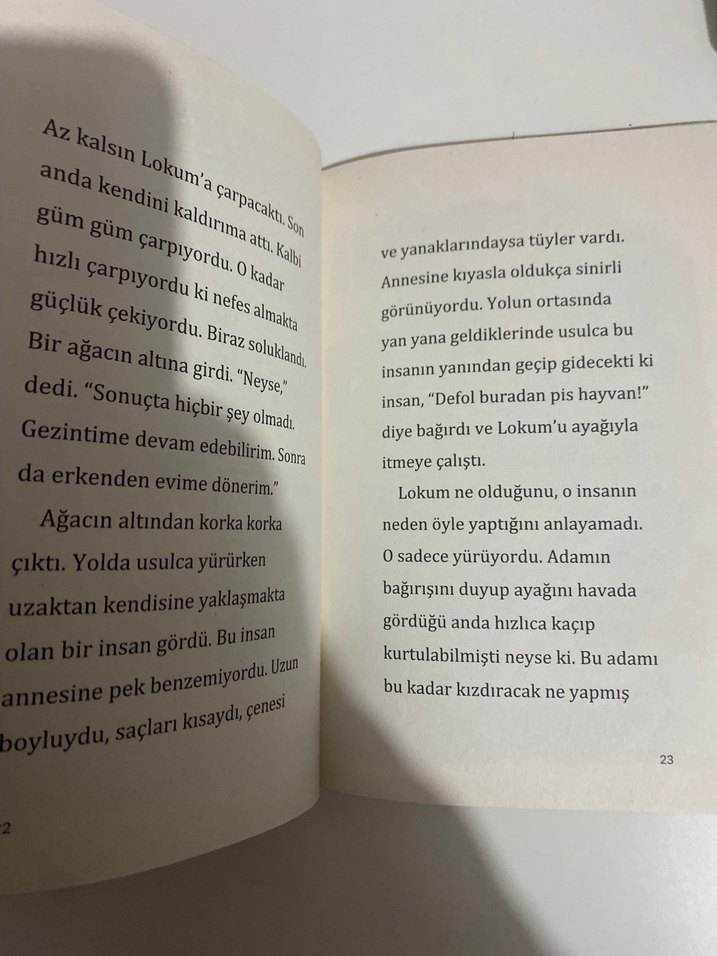 Lokum ile Pasaklı Kedi - Berrak Beşikçi - Görsel 3