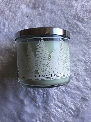 Eucalyptus rain büyük boy mum