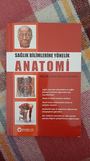 Anatomi 