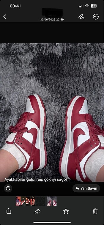 Nike dunk bordo