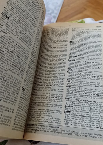 Longman Active Study Uluslararası Öğrenci Sözlüğü - Görsel 2