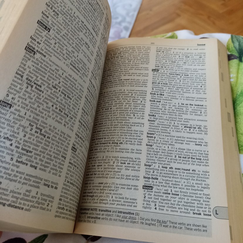 Longman Active Study Uluslararası Öğrenci Sözlüğü - Görsel 2