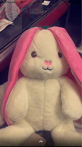 Pelus tavşan