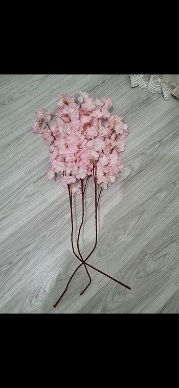 pembe bahar dalı