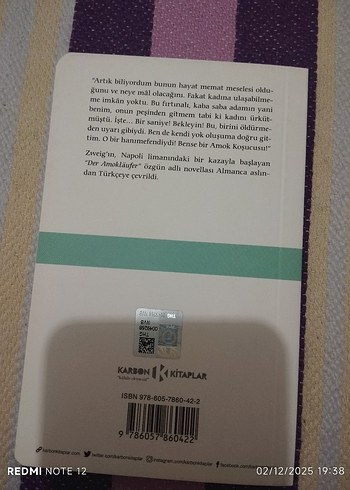 Amok Koşucusu Zweig - Görsel 2