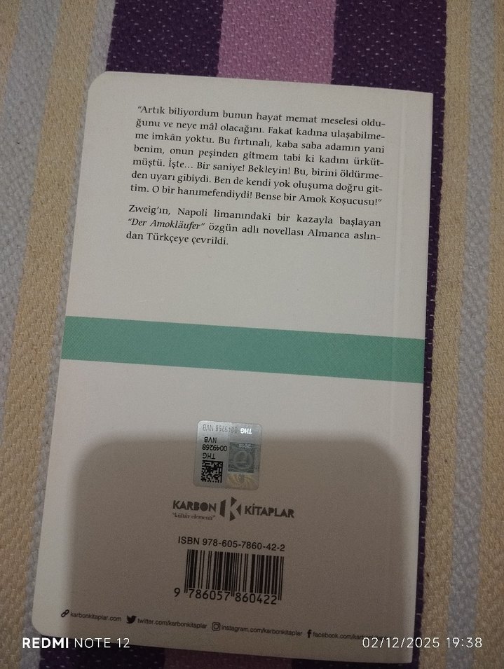 Amok Koşucusu Zweig - Görsel 2