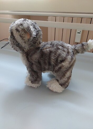 Pelus kedi - Görsel 2