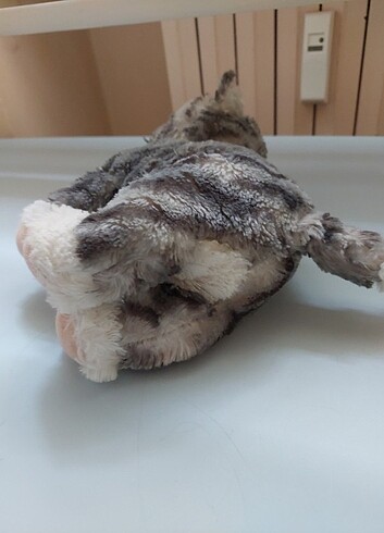 Pelus kedi - Görsel 3