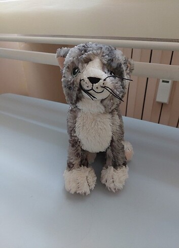 Pelus kedi - Görsel 4