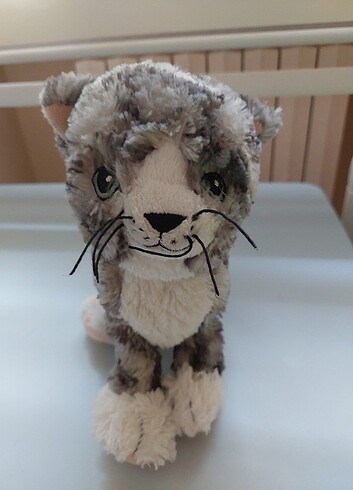 Pelus kedi - Görsel 5