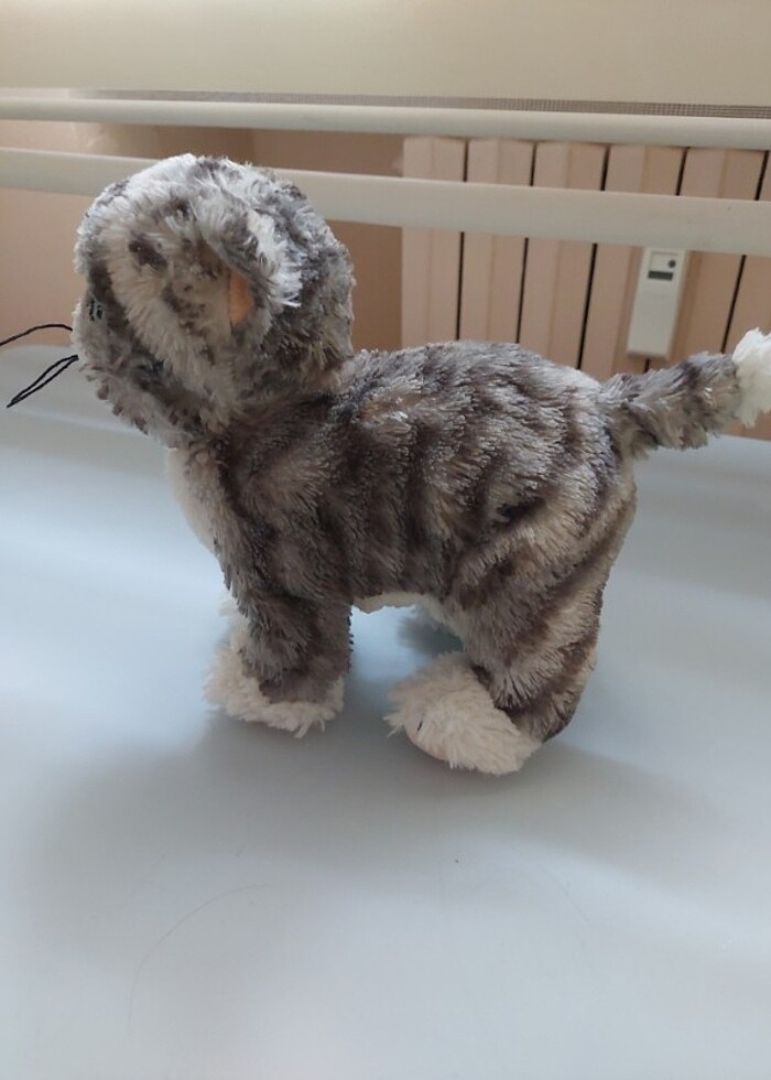 Pelus kedi - Görsel 2