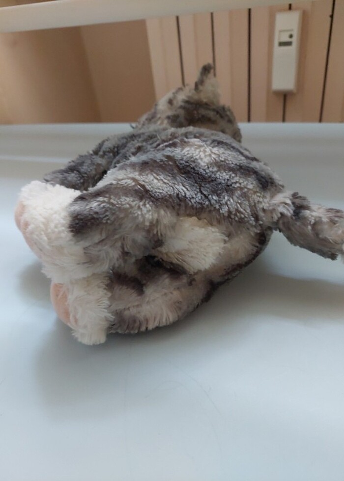 Pelus kedi - Görsel 3