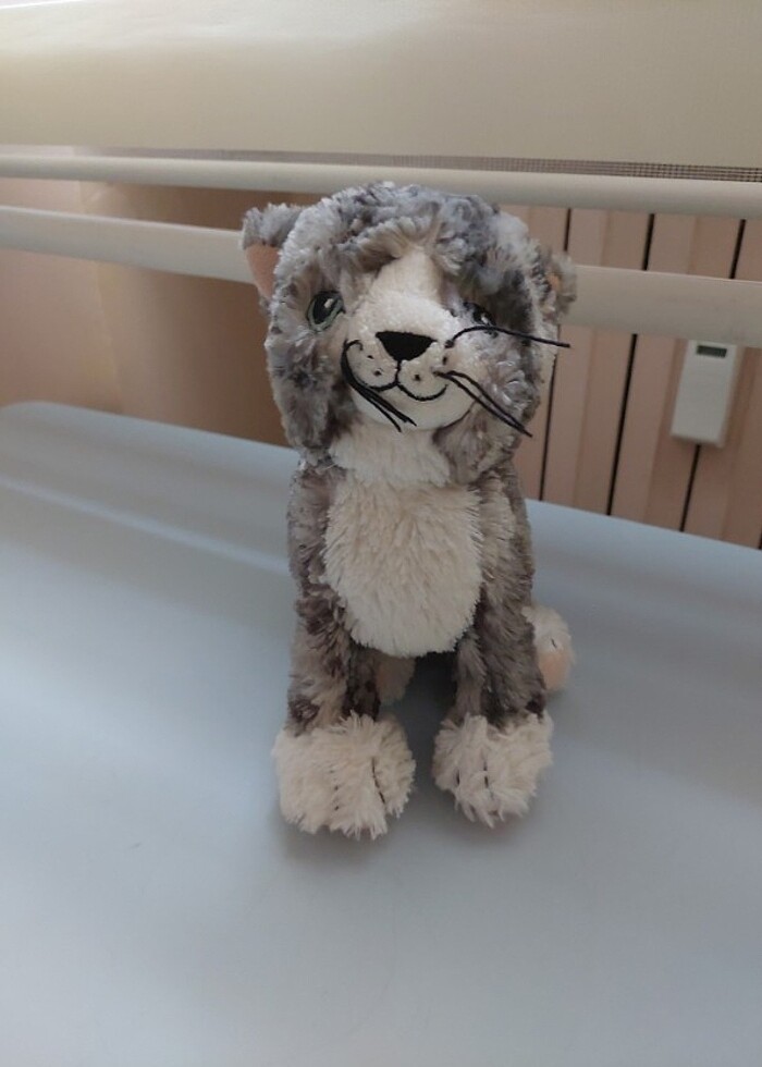 Pelus kedi - Görsel 4