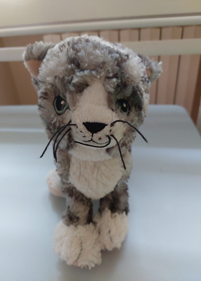 Pelus kedi - Görsel 5