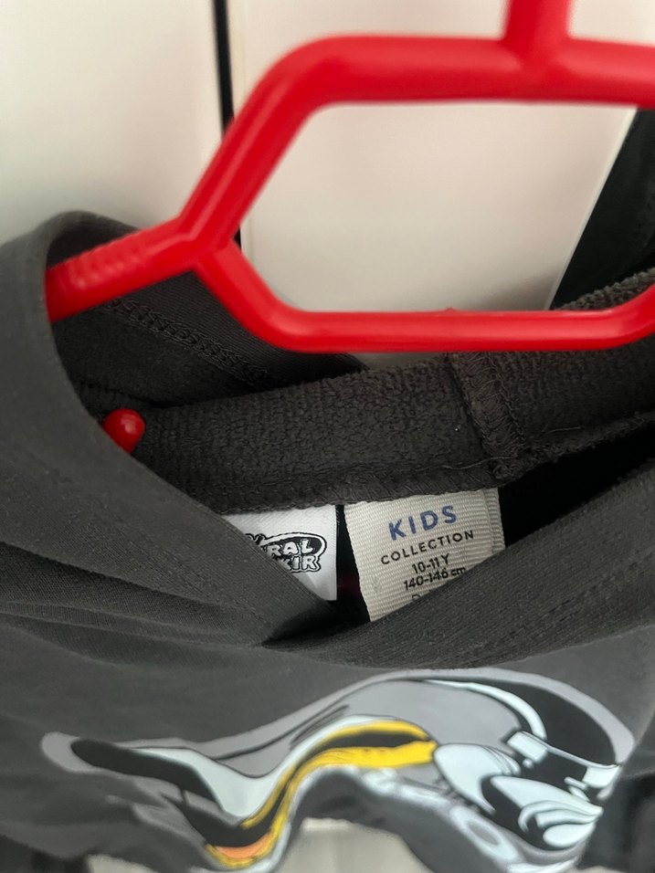 Kapüşonlu  Erkek Çocuk Sweatshirt - Görsel 3