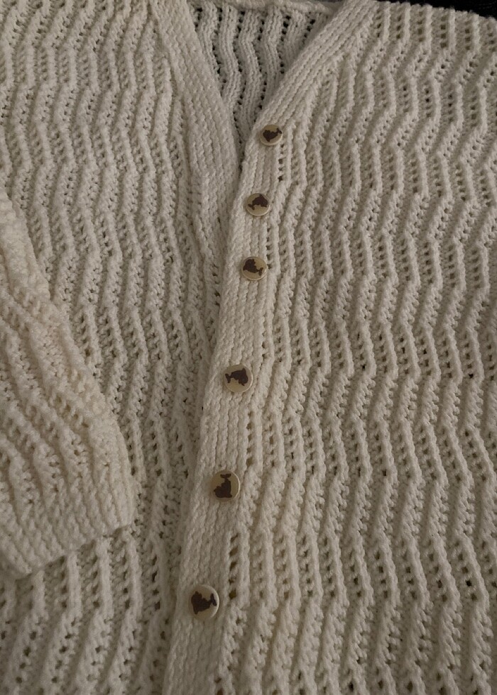 El örgüsü hırka - Görsel 2