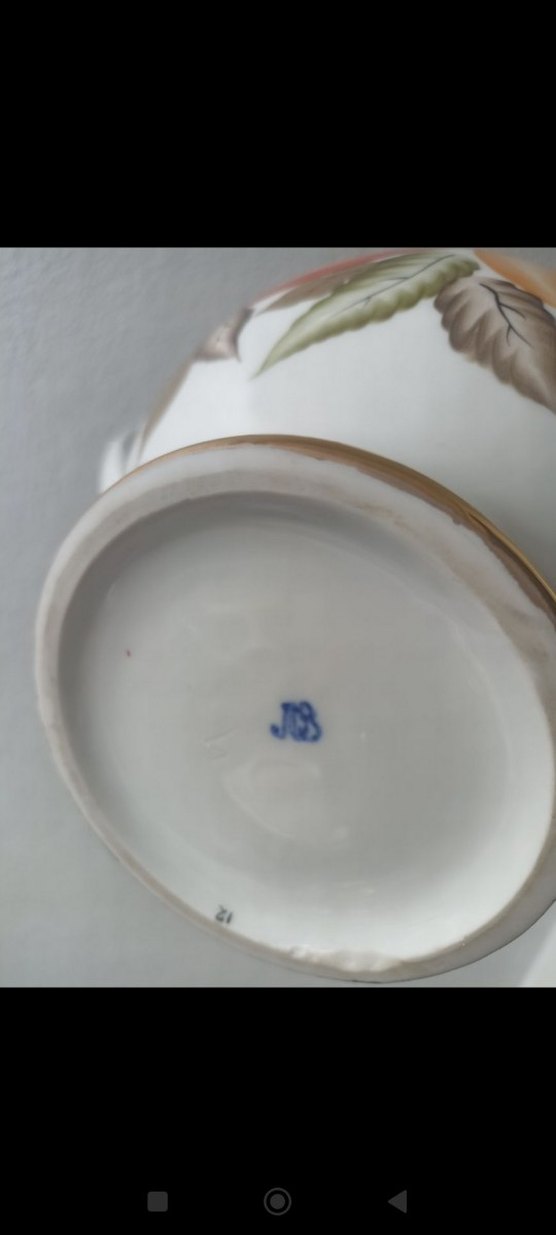 lomonosov dev boy cay potu - Görsel 3