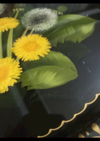 rus pulat tepsi - Görsel 4