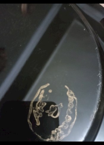 rus pulat tepsi - Görsel 3