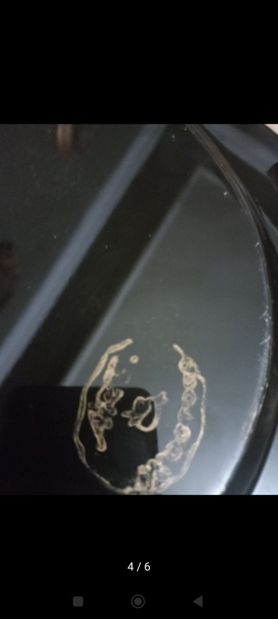 rus pulat tepsi - Görsel 3