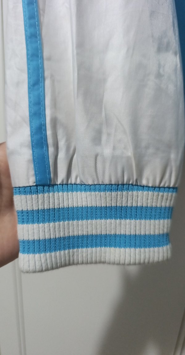 Mavi ve Beyaz Spor erkek Ceket - Görsel 5