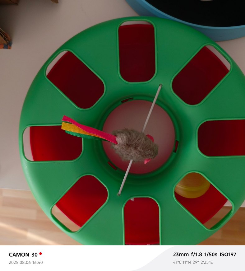 Yeşil Kedi Oyuncağı Topu Fareli - Görsel 3