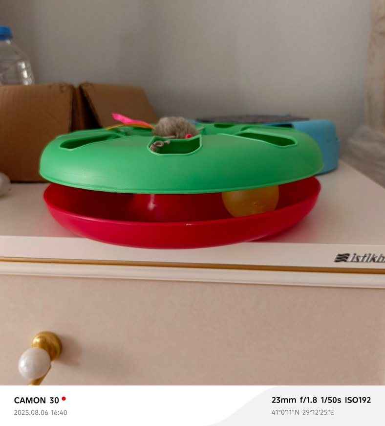 Yeşil Kedi Oyuncağı Topu Fareli - Görsel 2