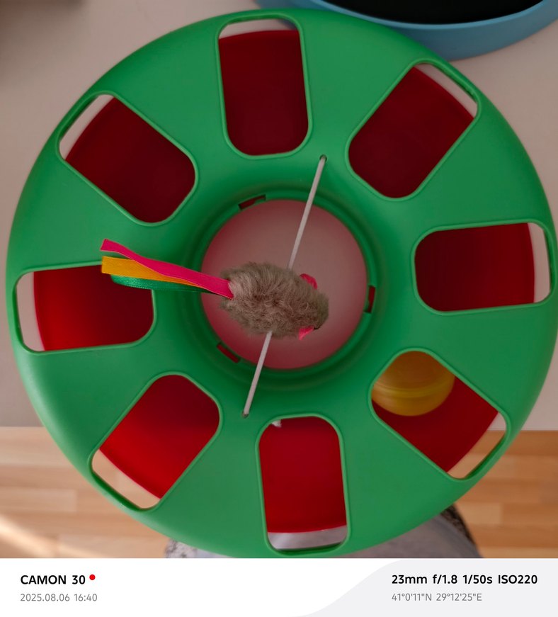 Yeşil Kedi Oyuncağı Topu Fareli - Görsel 4