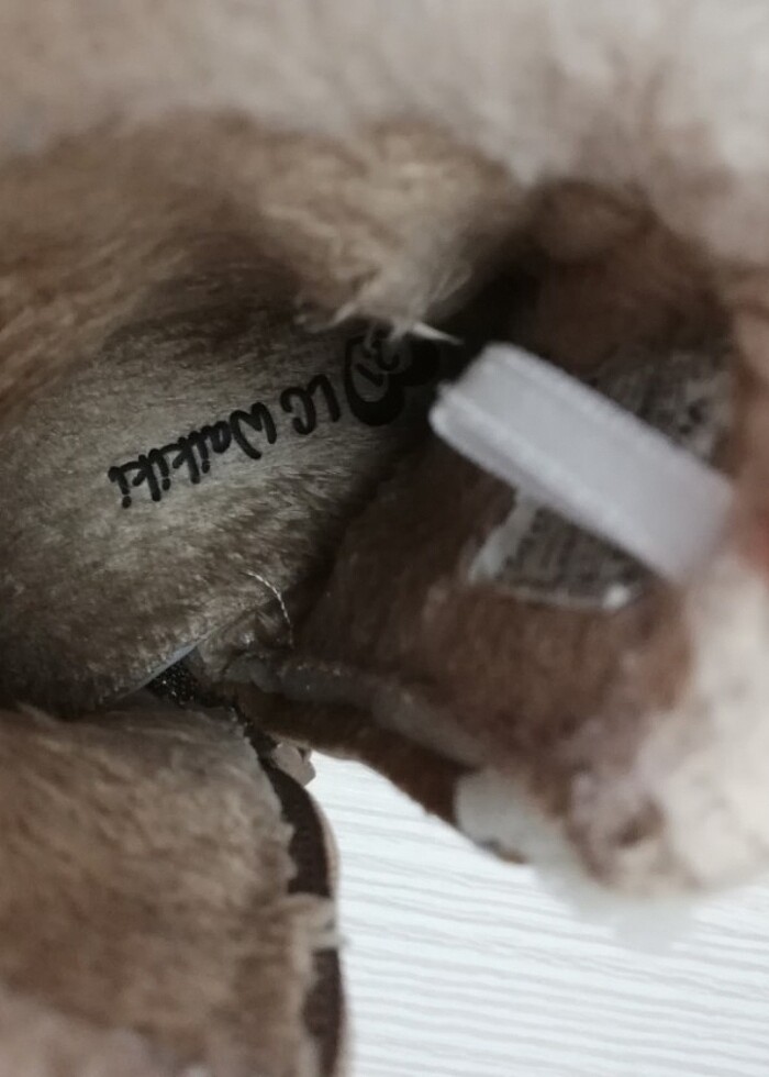 Süet bot - Görsel 2