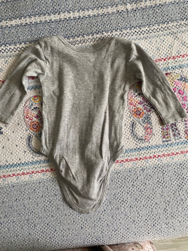 Uzun kollu zıbın - Görsel 4