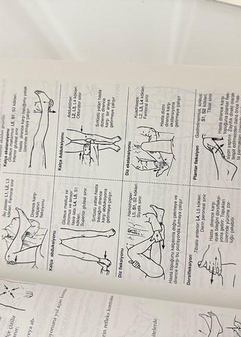 Resimlendirilmiş Nöroloji ve Nöroşirürji Kitabı - Görsel 3