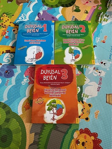 Duyusal beyin kitabi