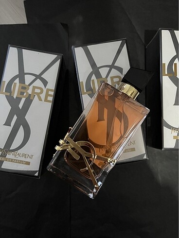 Beden Ysl libre
