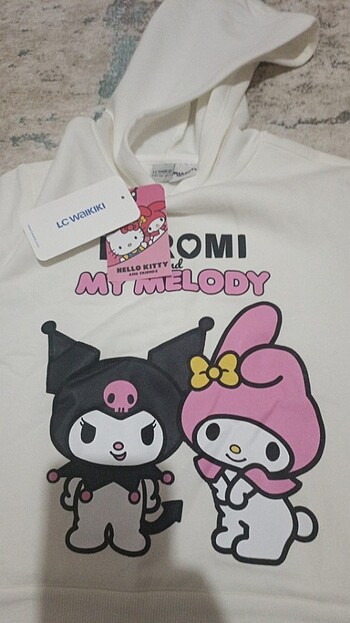 LC Waikiki Kapşonlu sweatshirt