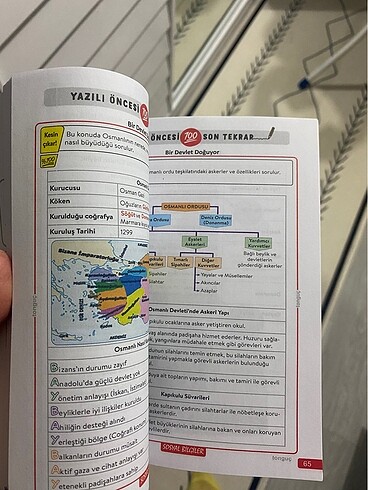  7. Sınıf yazılı notları