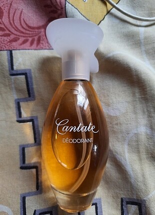 Yves rocher kadın parfüm 