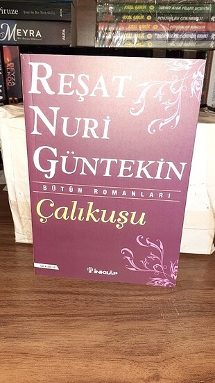 Çalıkuşu tam metin 